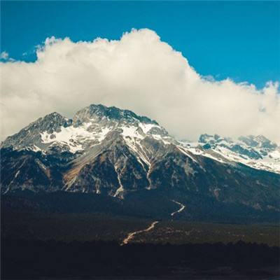 雪域龙影手游下载
