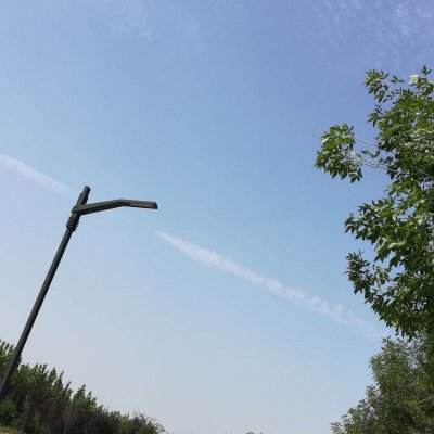 迷你小镇宠物世界完整版下载